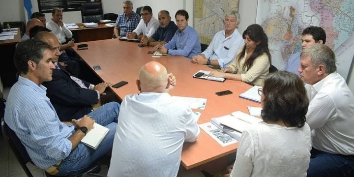 Prograno y Campo Limpio