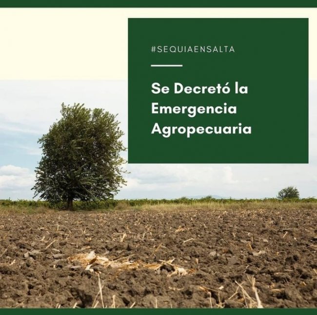 WhatsApp Image 2020-12-10 at 11.06.00 emergencia agropecuaria