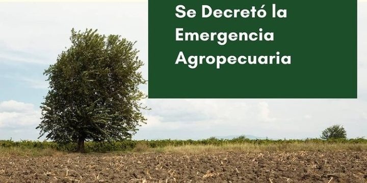 WhatsApp Image 2020-12-10 at 11.06.00 emergencia agropecuaria