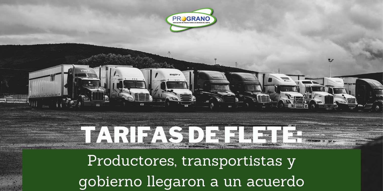 Salteados horizontales