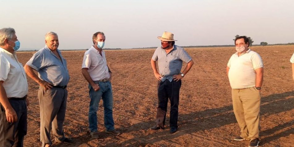 WhatsApp-Image-2022-01-14-at-10.47.17