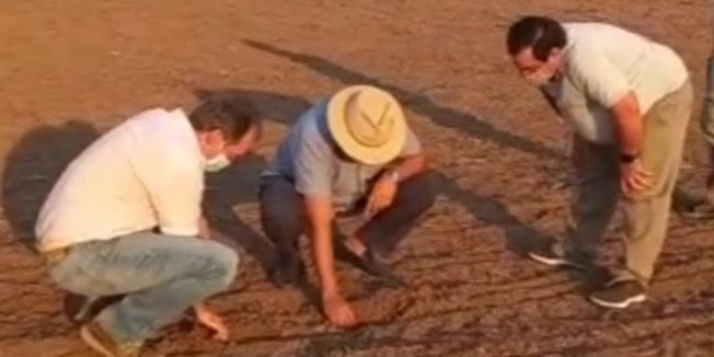 WhatsApp Image 2022-01-20 at 10.16.43