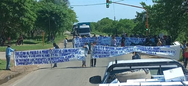 WhatsApp Image 2023-01-25 at 10.53.06 AM