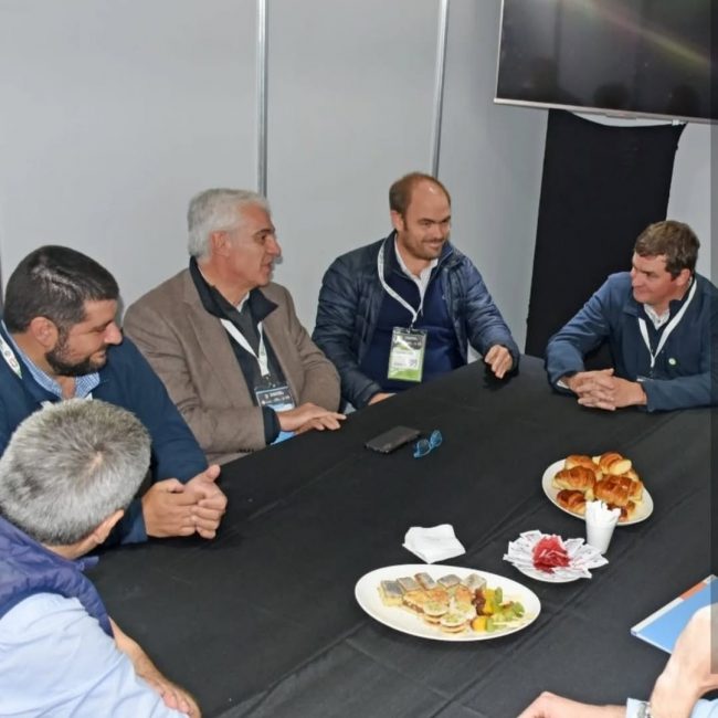 WhatsApp Image 2025-01-28 at 1.19.53 PM