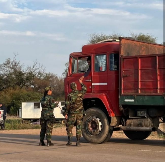 WhatsApp Image 2025-01-28 at 12.43.14 PM