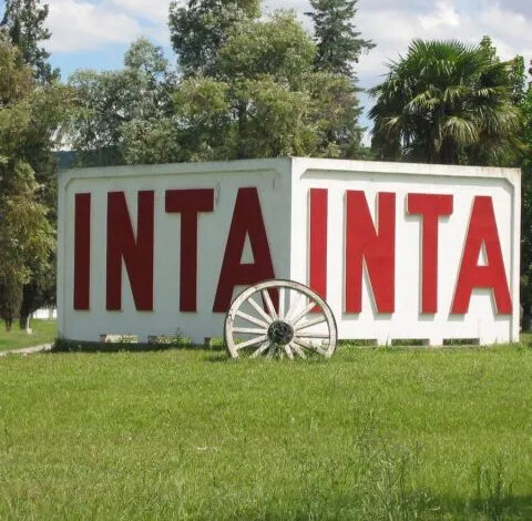 pagina-9-13-480×470