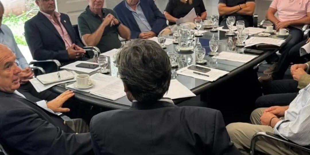 WhatsApp Image 2026-03-01 at 20.00.29